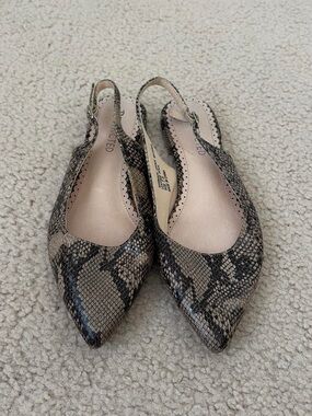 Restricted Snake-Print Pointed Slingback Flats - Beige & Black